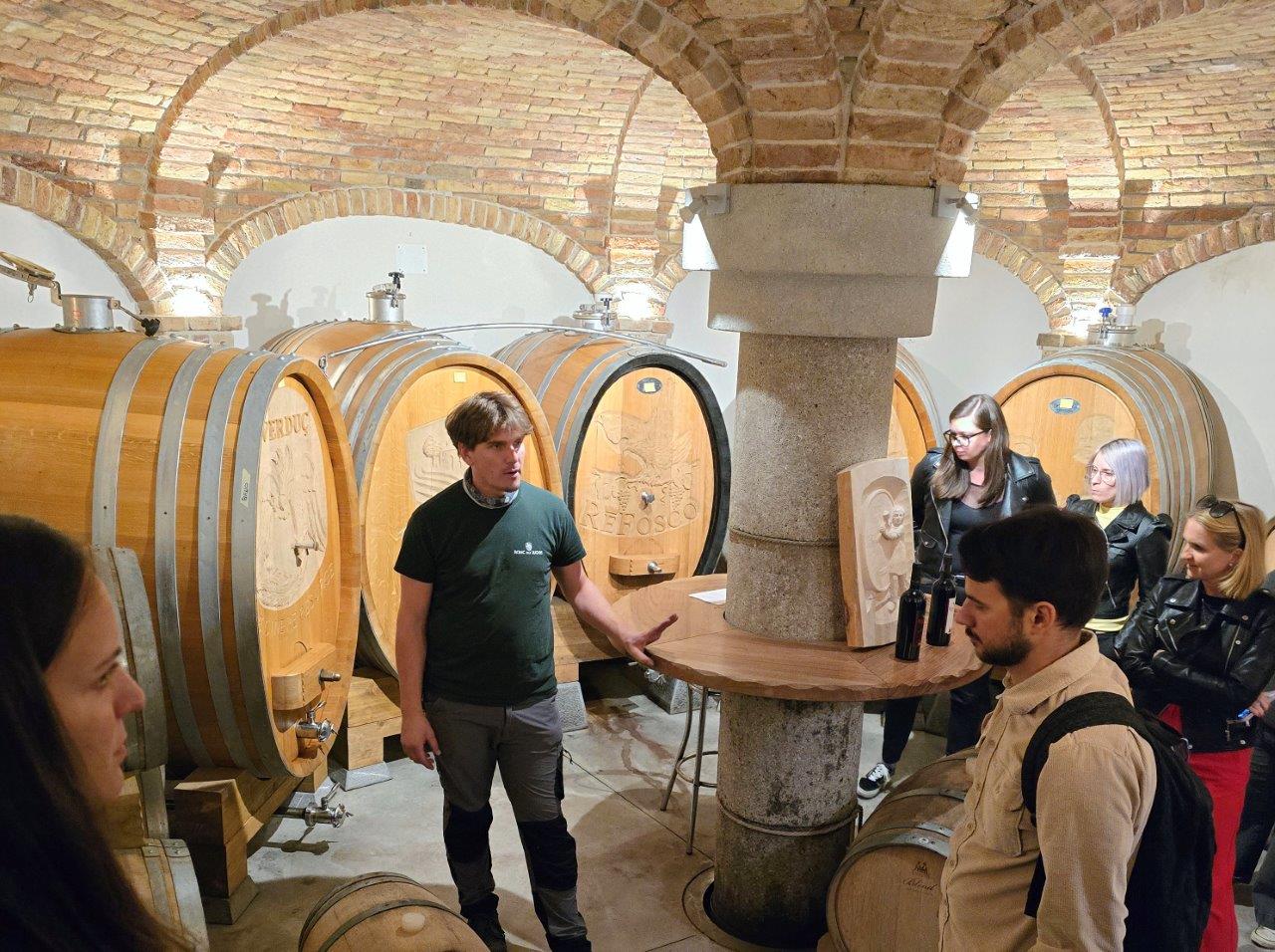 people in wine cellar in friuli